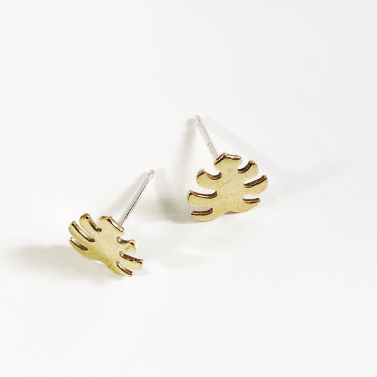 Monstera Leaf Studs