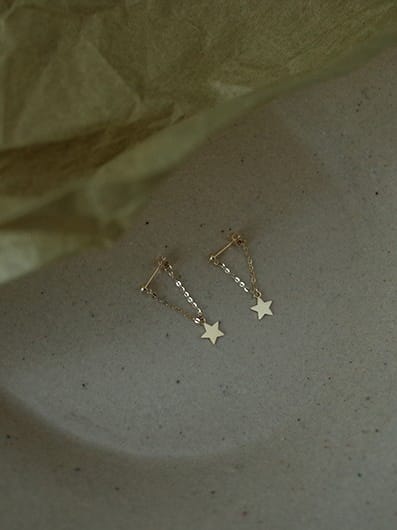 Star Gazer Earrings